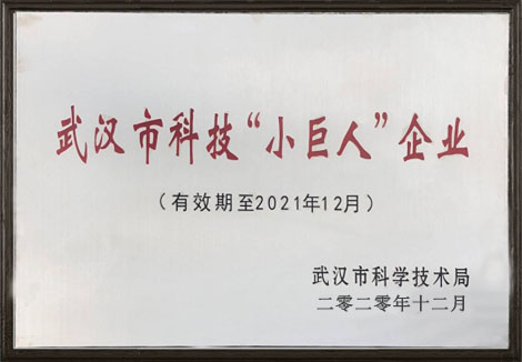 热烈祝贺武汉BG大游集团荣获2020年东西湖区科技“小巨人”企业称号