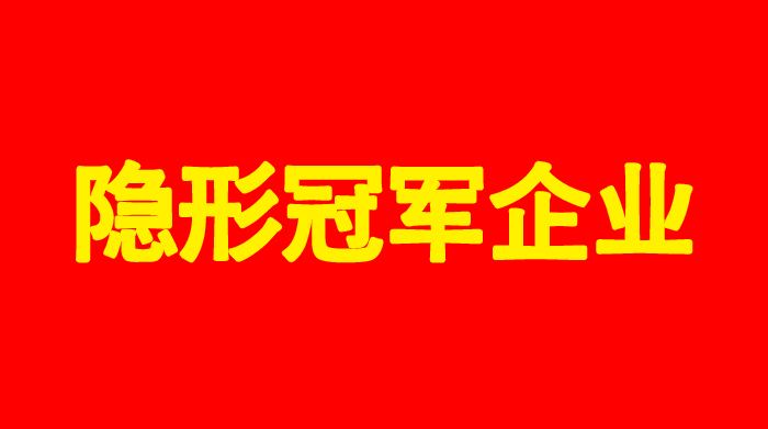 武汉BG大游集团聚氨酯科技有限公司荣获“咸宁市支柱产业细分领域隐形冠军企业称号”