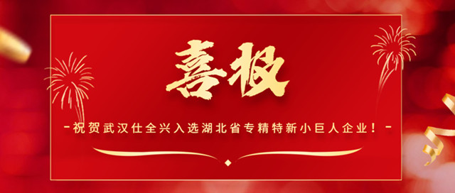 武汉BG大游集团入选湖北省专精特新“小巨人”企业！