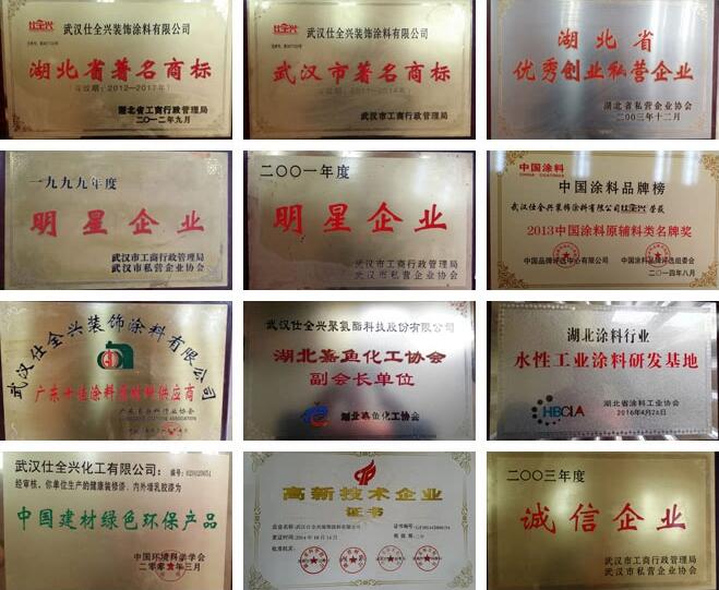 武汉BG大游集团荣获行业多项资质证书