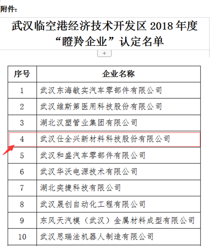 BG大游集团入选瞪羚企业