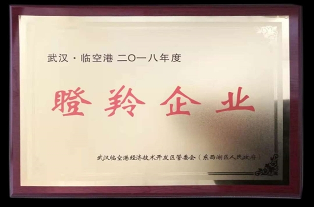 BG大游集团荣获2018临空港经开区瞪羚企业