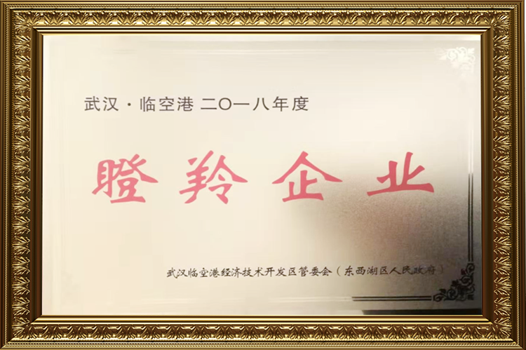 BG大游集团 瞪羚企业