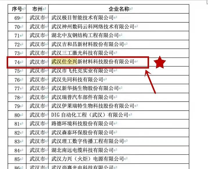 武汉BG大游集团入选湖北省专精特新小巨人企业