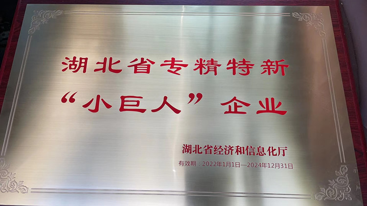 武汉BG大游集团获省级专精特新企业称号